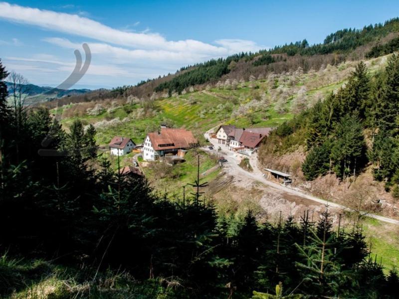 Ferienwohnung Schneckenhus Lautenbach Luaran gambar