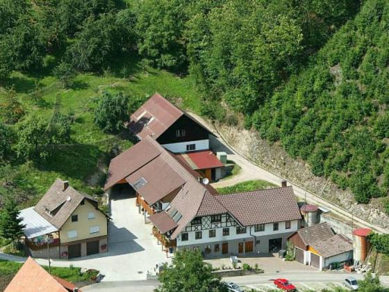 Ferienwohnung Schneckenhus Lautenbach Luaran gambar