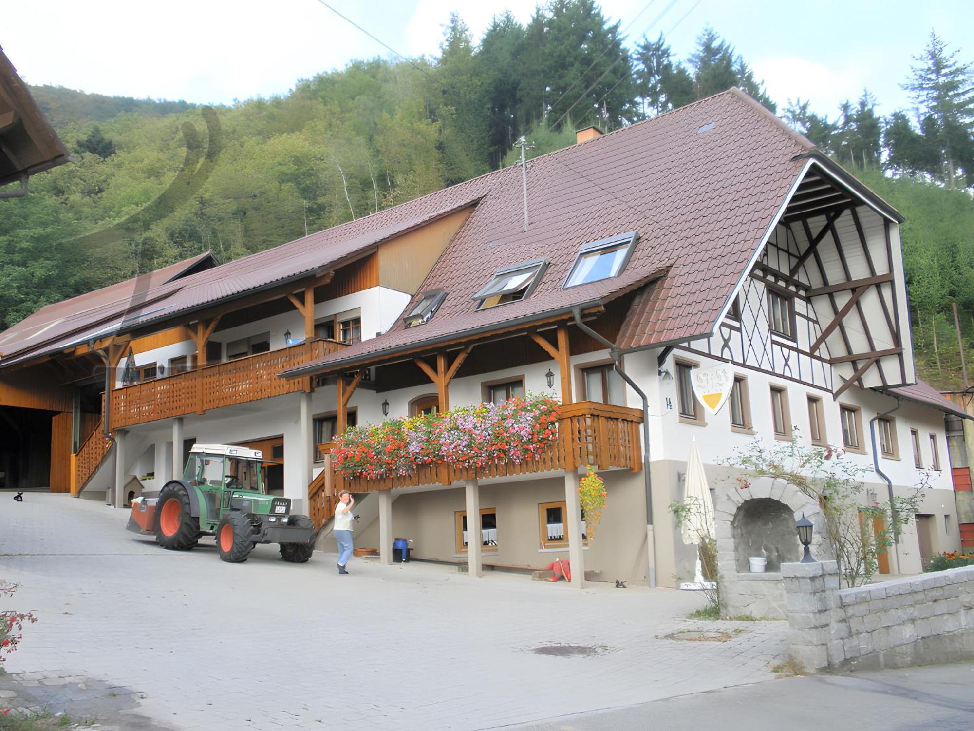 Ferienwohnung Schneckenhus Lautenbach Luaran gambar